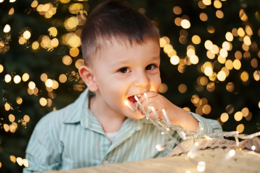 Sedinte Foto Craciun Bucuresti